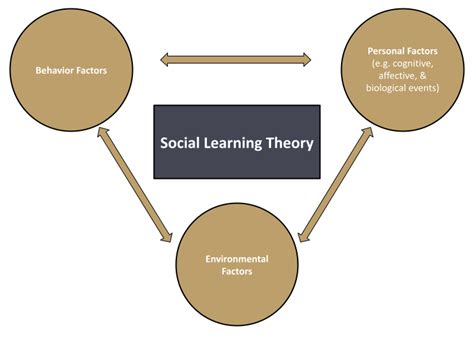 What Is Bandura's Social Learning Theory? 3 Examples