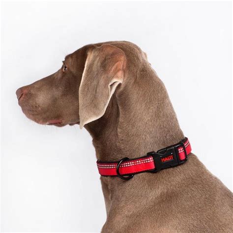 Halti Red Dog Collar Small | Ocado