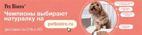 ИИЦ Зоокурьер / Zoocourier. Выставки в Санкт-Петербурге