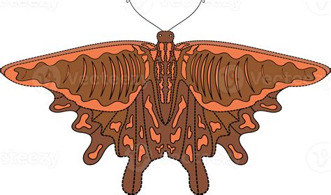 Butterfly Illustration On Transparent Background 23556978 PNG
