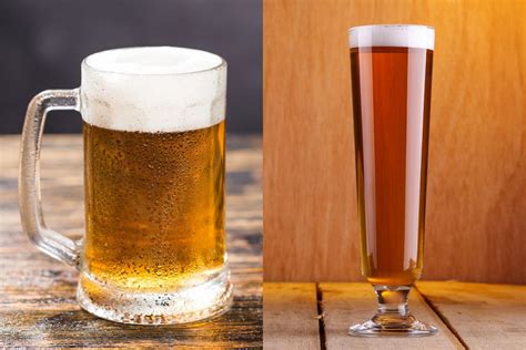 pilsner  lager beer whats  difference compare factory