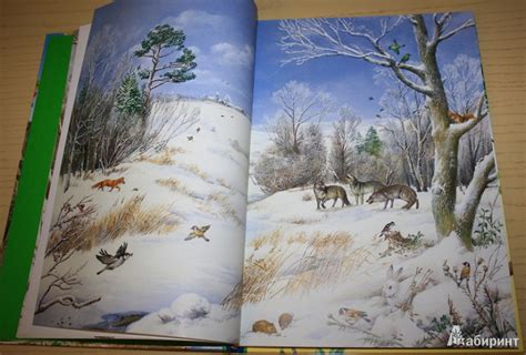Книга: Времена года. Иллюстрированная энциклопедия - Владимир Свечников ...