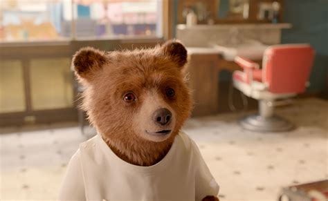 Social Trends : Paddington