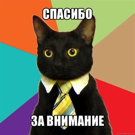 спасибо за внимание, Мем Кошечка - Рисовач .Ру