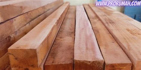 Mengenal Fungsi dan Jenis Kayu Kaso - pro rumah
