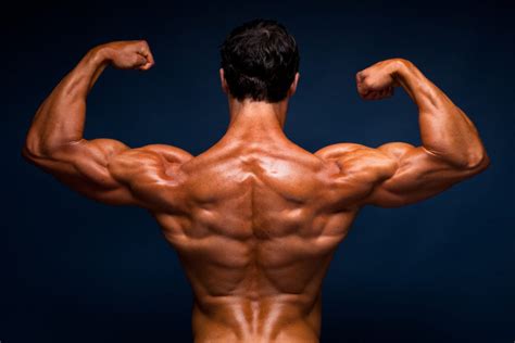 vegan muscle  fitness