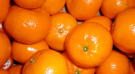 Satsumas – Three Counties Produce