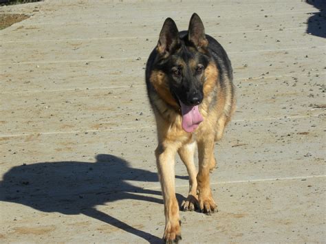 023 (2) | PWC_GSD | Flickr
