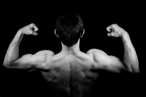 adult, one person, human muscle, male, muscle, muscles, body, view