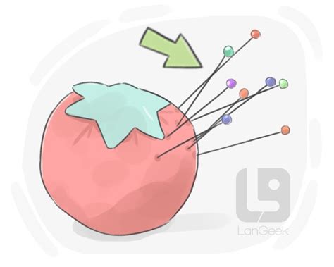 definition meaning  pin langeek