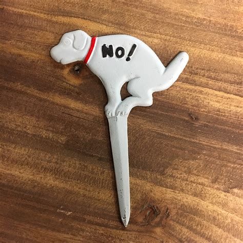 How To Get Puppy To Stop Pooping In Crate at Gina Stach blog