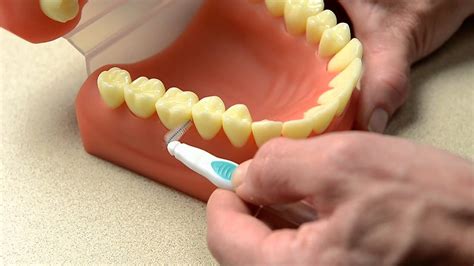 The Proxy-Brite Interdental Brush System - YouTube