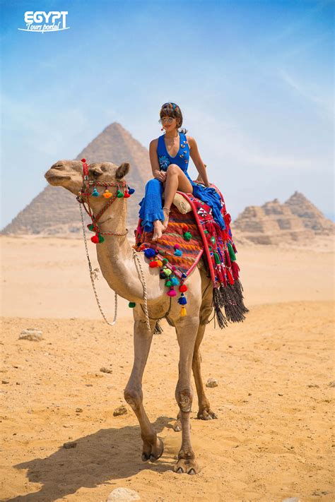 15 Top Egypt XMAS & New Year Holidays 2025 | Foto, Cammelli, Gladiatori