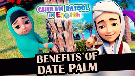 benefits  date palm islamic cartoon ghulam rasool cartoon
