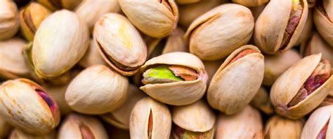 Pistachio Yield | Artificial pollination for pistachios in California