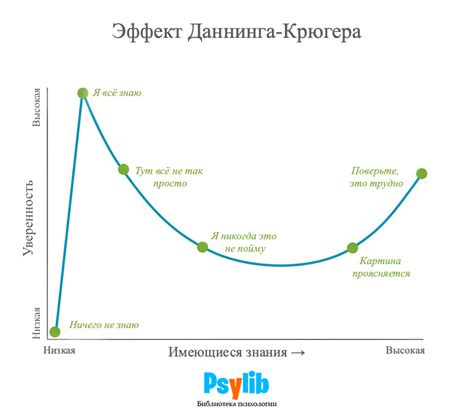 Эффект Даннинга-Крюгера – Что Это? (Суть Метода, Пример)