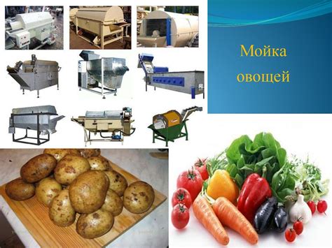 Механическая и кулинарная обработка овощей, грибов - презентация онлайн
