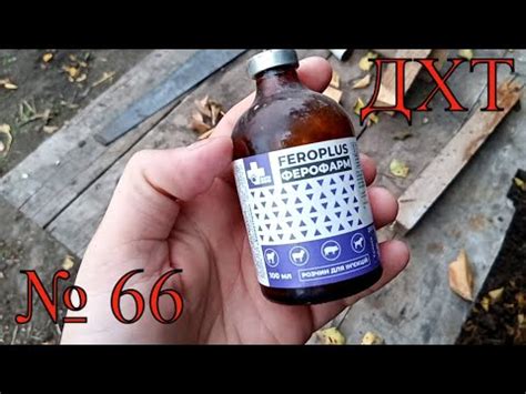///Вот зачем нужно колоть Железо поросяткам !!!/// - YouTube