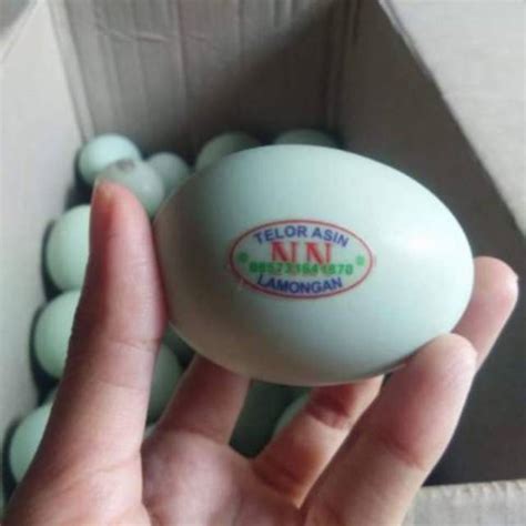 detail desain stiker telur asin koleksi nomer