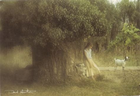 Photojenic: 213. David Hamilton