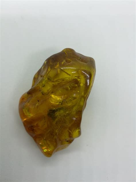 RARE Piedra de ámbar báltico cruda Tumbled Pulido 23.4g 117ct - Etsy España
