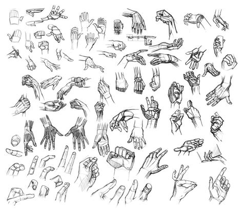 Pin by Dmitrii Kolpakov on references | Hand drawing reference ...
