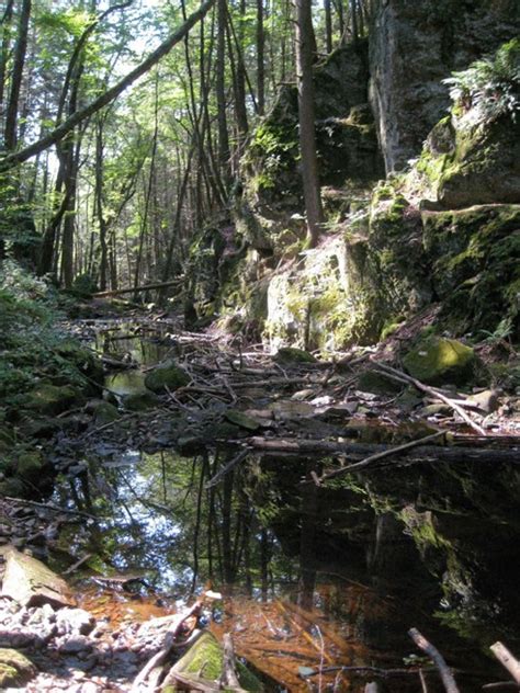 green fall ashaway river wood pawcatuck wild  scenic rivers