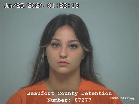 CAYLIN IAN ANDERSON 06/25/2024 - Beaufort County Mugshots Zone