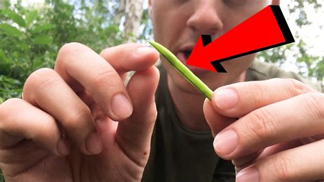 Как сделать свистульку! Свисток своими руками! - YouTube