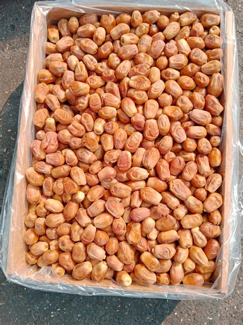 Ramadan 2026 Wholesale Dates Guide: 10 Kg Zahidi Khajur in India