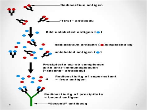 Assays, types of assays, principle and prerequisites of assays and bi…