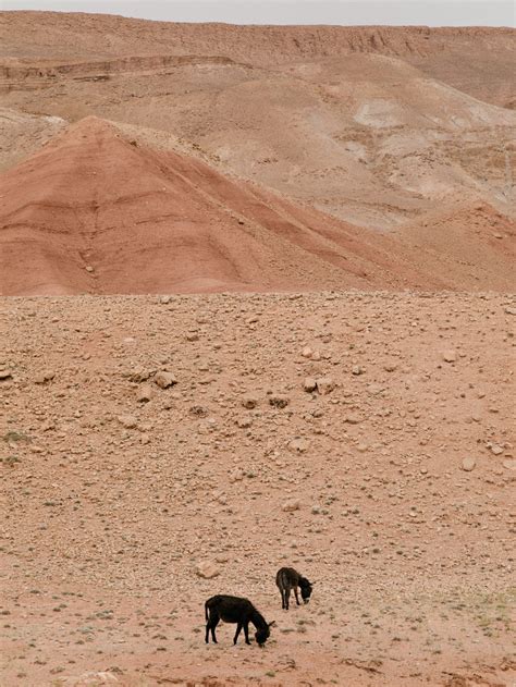 Travel — Lindsay Elliott | Photographer