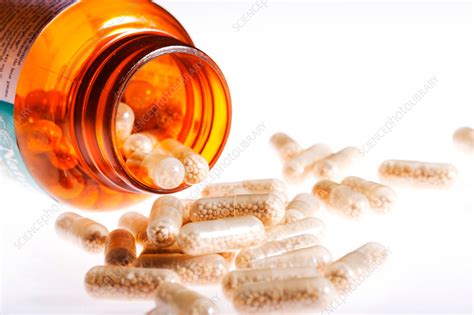 Brewer's yeast - Stock Image - C031/2432 - Science Photo Library