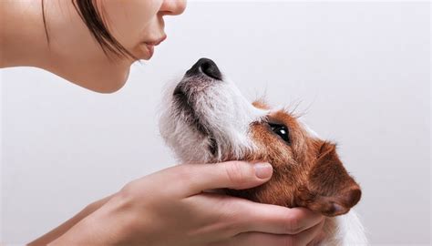 The Science Behind Oxytocin and Puppy Love