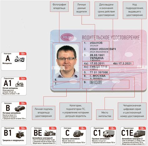 Зачем нужны новые категории в водительских правах — DRIVE2