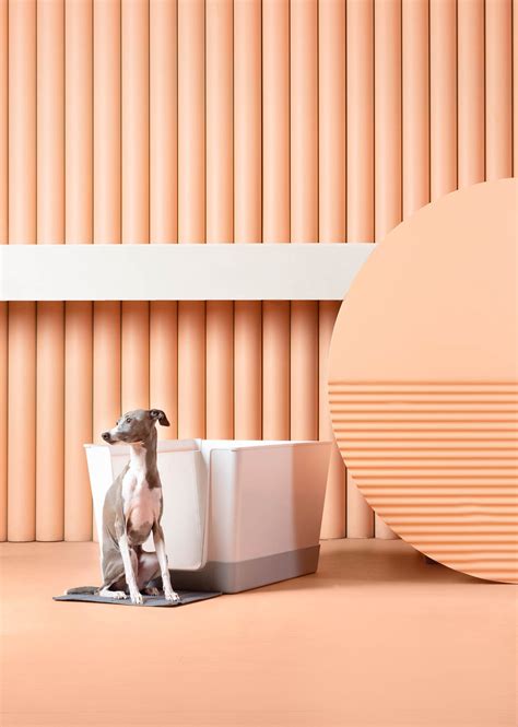 Doggy Bathroom– DoggyBathroom - The Best Dog Litter Box with Vertical