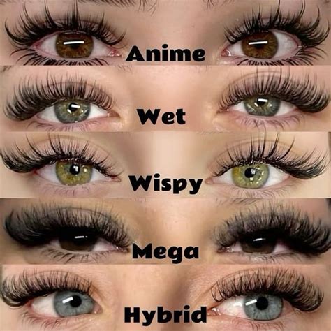 pin  jeena  eye lashes makeup routine lashes eye makeup