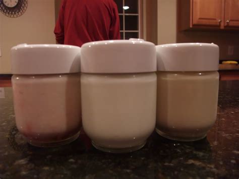 Kevin and Amy's World: Yogurt Experiments