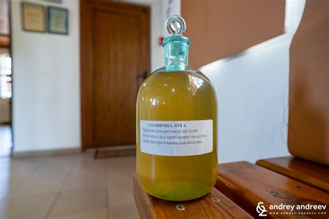 Заедно преоткриваме България на път: Поморийското езеро