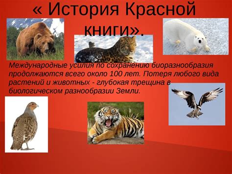 История красной книги (4 класс) - презентация онлайн