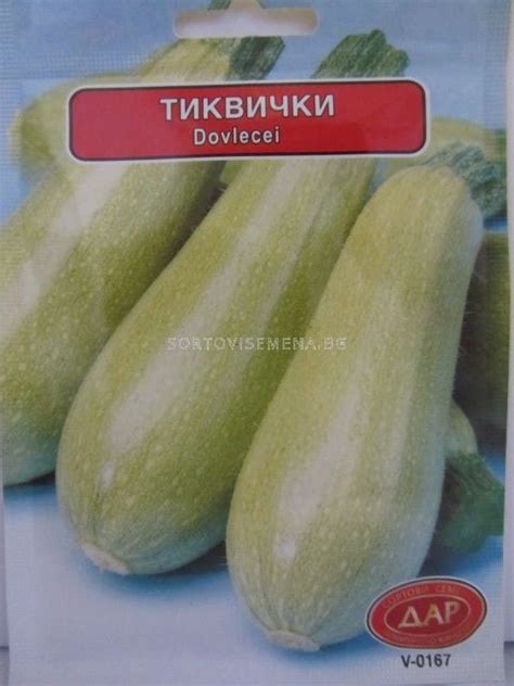 Семена Тиквички Изобилна | Тиквички | SortoviSemena.BG