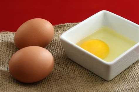 eggs  eaten raw egg encyclopedia