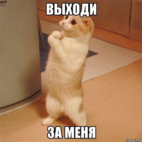 выходи за меня, Мем котэ молится - Рисовач .Ру