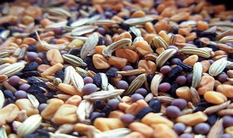 Наиполезнейшие семена и зёрна | Vegetables, Seeds, Seasoning recipes