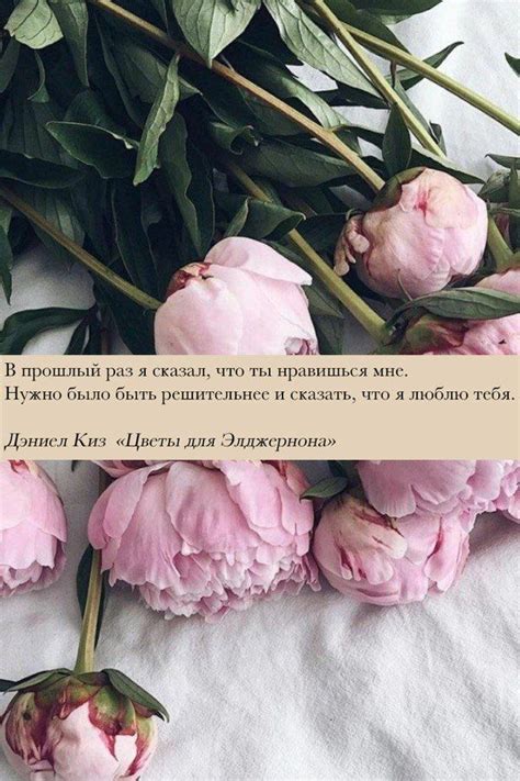 Цитата | Цветы для элджернона, Красивые цитаты, Лучшие цитаты