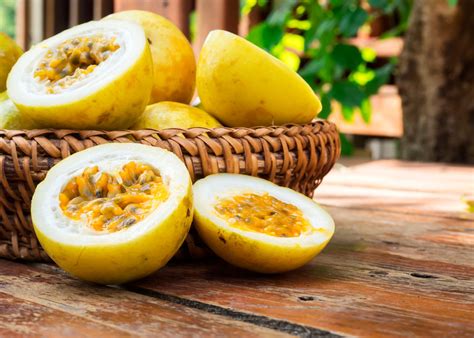 As 10 frutas mais populares do Nordeste do Brasil: Sabores tropicais ...