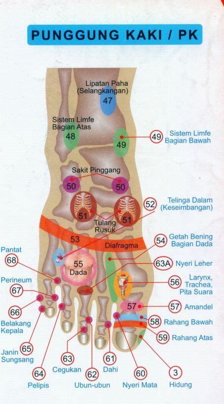 Gambar Titik Akupunktur/Pijat Kaki ini, karya ASLI dari Oei Gin Djing ...