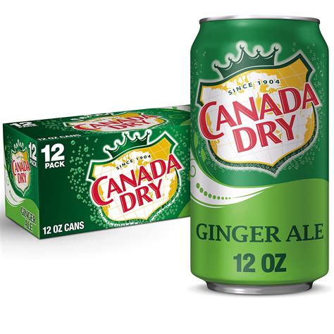 Buy Canada Dry Ginger Ale Soda, 12 fl oz cans (Pack of 12) Online at
