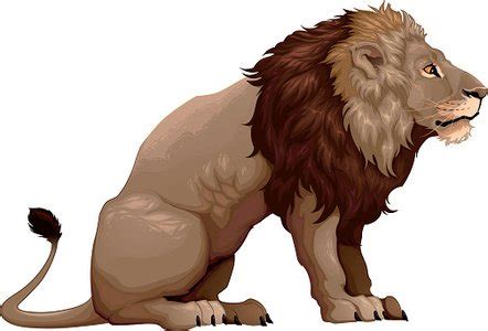 Profile Of A Sitting Lion Stock Vector | Royalty-Free | FreeImages