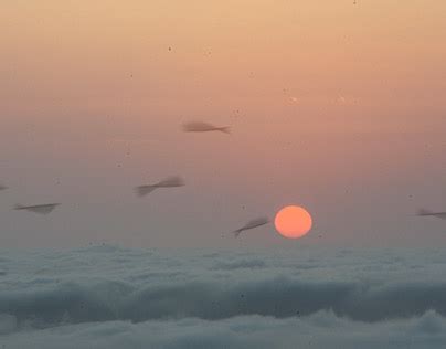 samhan smhan projects   logos illustrations